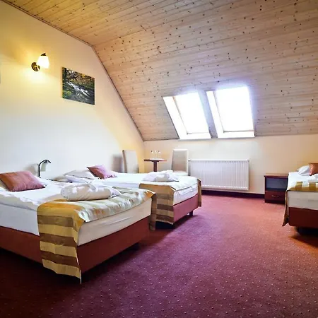 Venus Hotel 3*